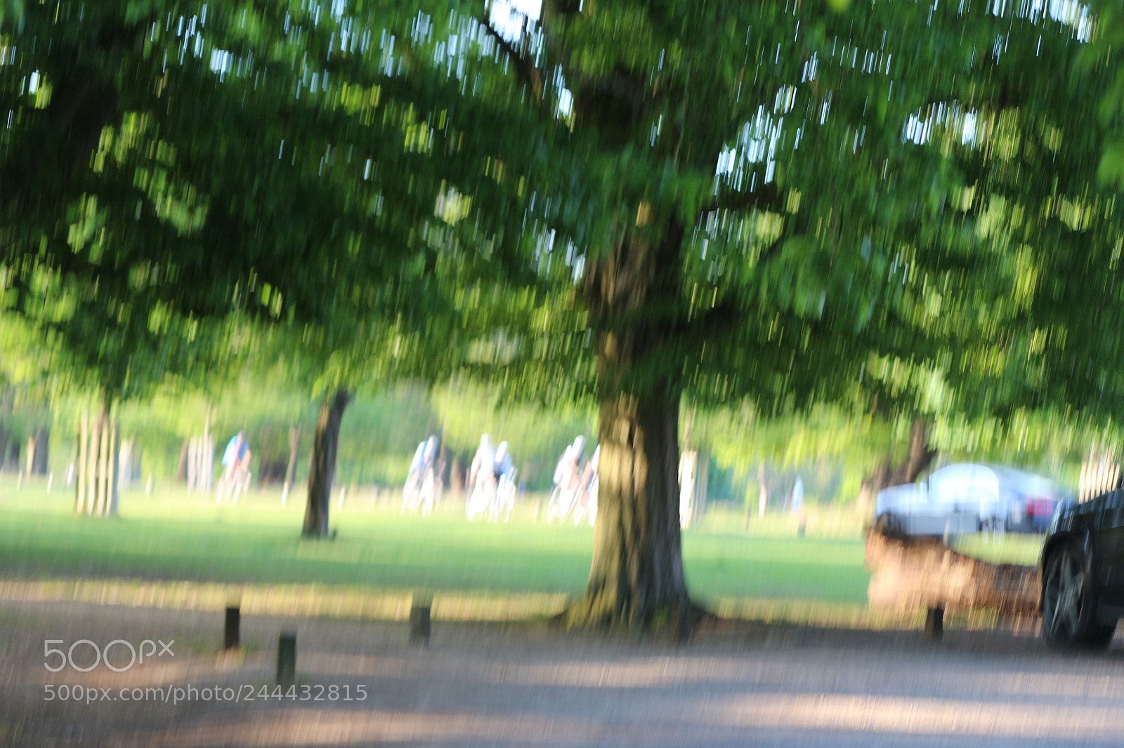 Canon EOS 650D (EOS Rebel T4i / EOS Kiss X6i) sample photo. Img photography