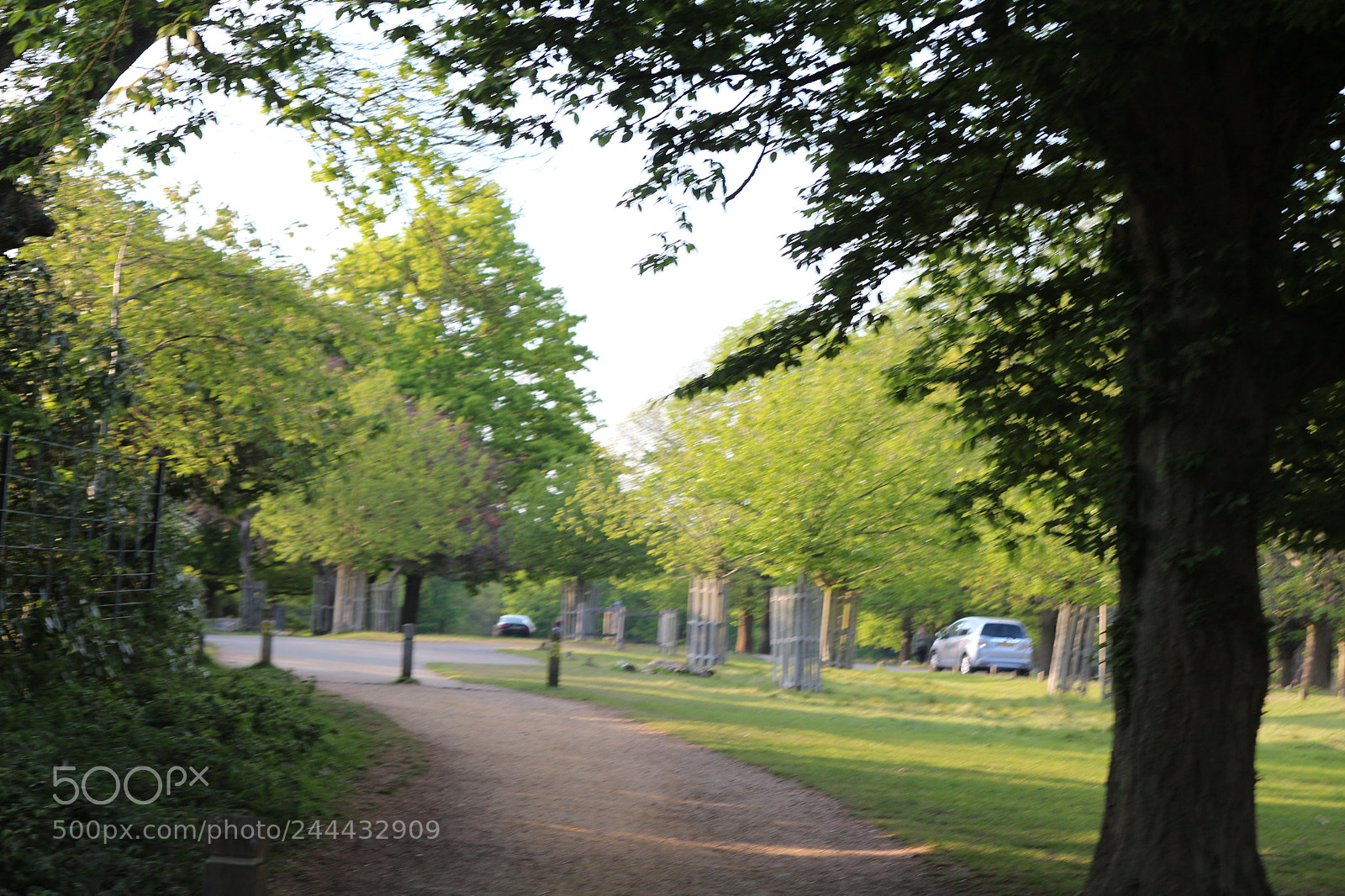 Canon EOS 650D (EOS Rebel T4i / EOS Kiss X6i) sample photo. Img photography