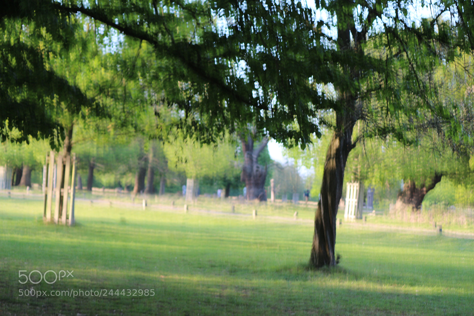 Canon EOS 650D (EOS Rebel T4i / EOS Kiss X6i) sample photo. Img photography