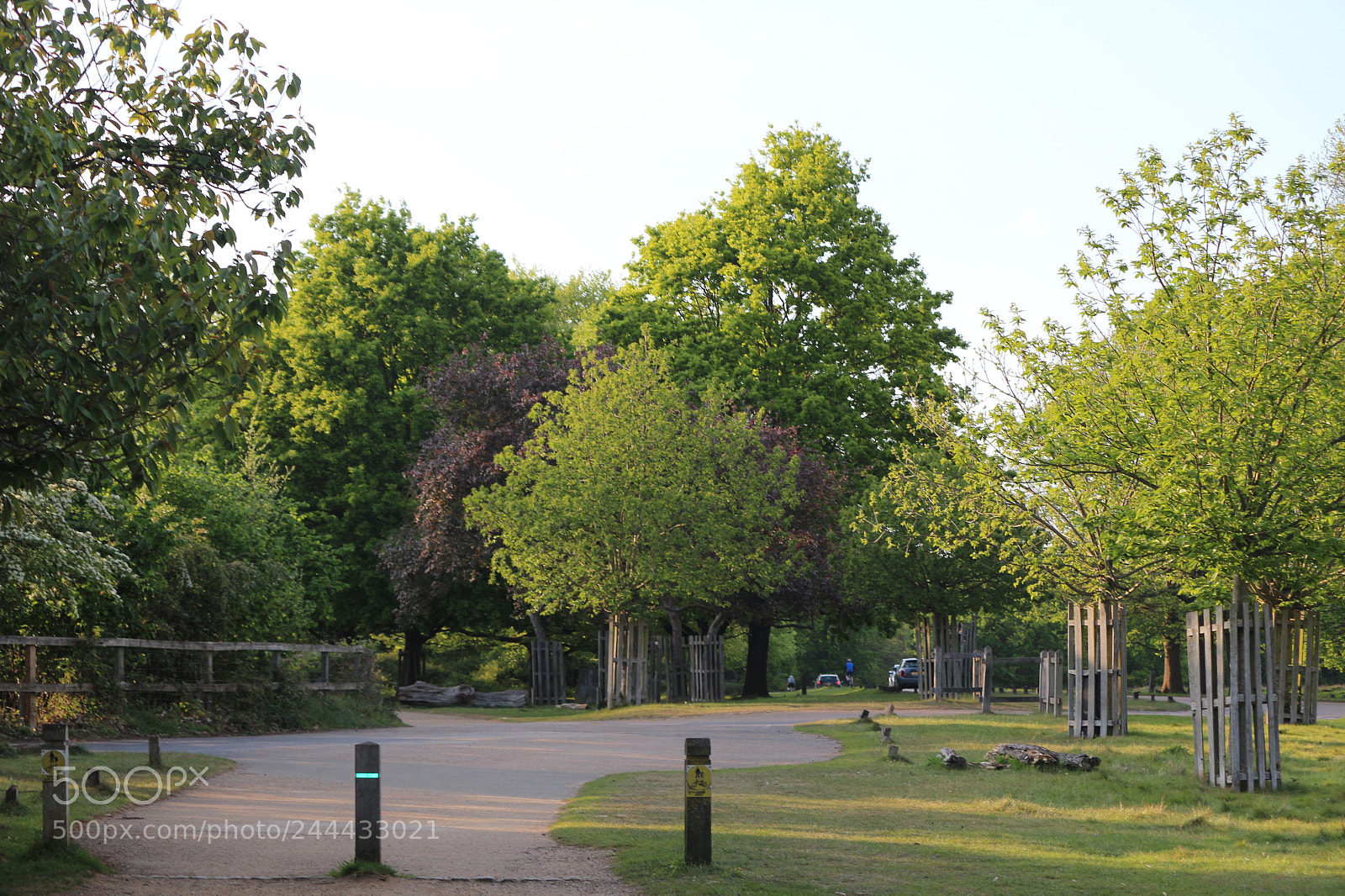 Canon EOS 650D (EOS Rebel T4i / EOS Kiss X6i) sample photo. Img photography