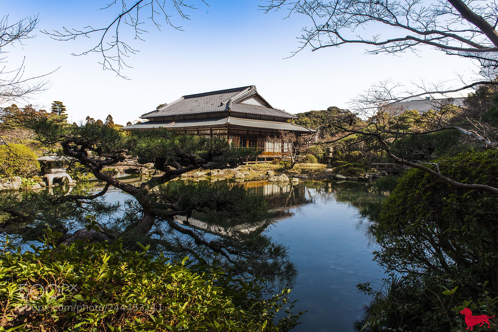 Nikon D700 sample photo. Yamaguchi in japan photography