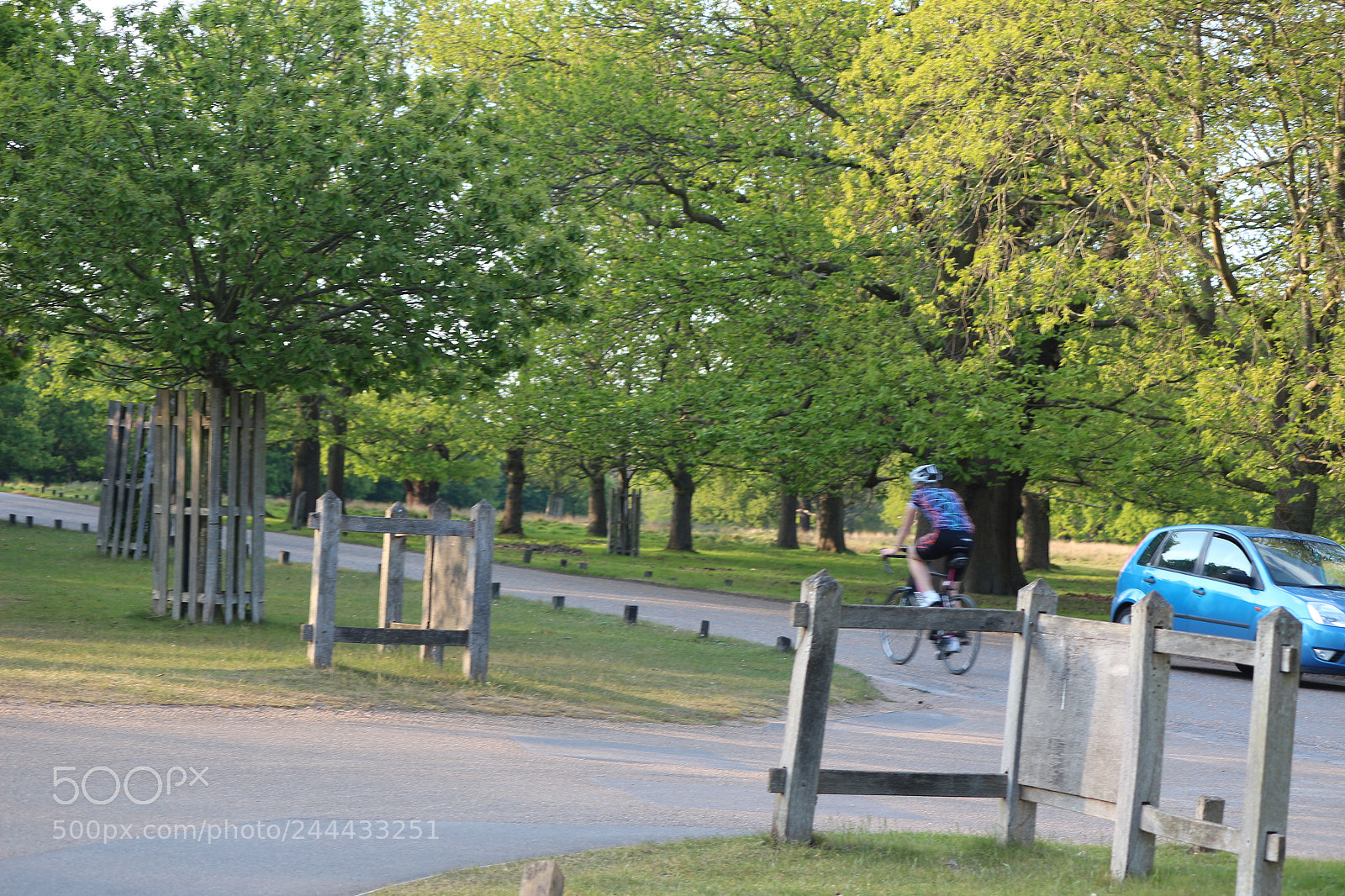 Canon EOS 650D (EOS Rebel T4i / EOS Kiss X6i) sample photo. Img photography