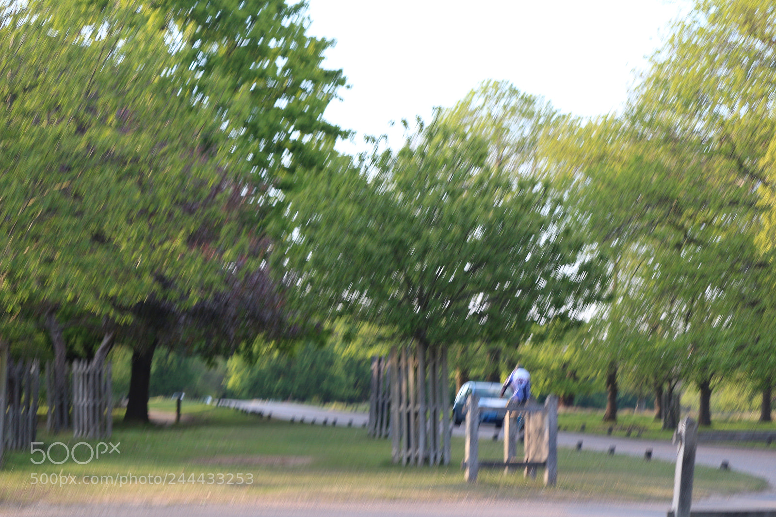 Canon EOS 650D (EOS Rebel T4i / EOS Kiss X6i) sample photo. Img photography