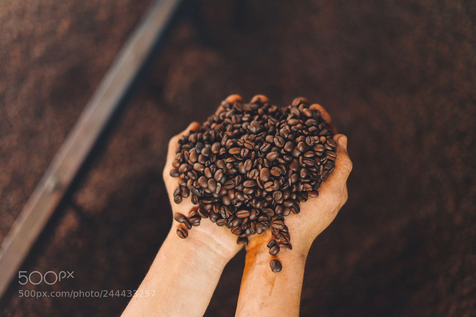 Sony a7 II sample photo. Coffee roaster photography