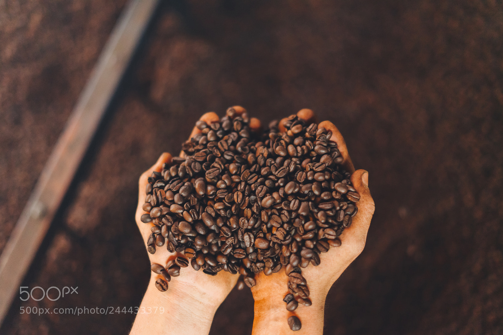 Sony a7 II sample photo. Coffee roaster photography