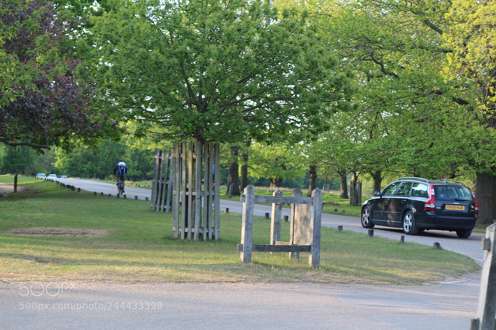 Canon EOS 650D (EOS Rebel T4i / EOS Kiss X6i) sample photo. Img photography