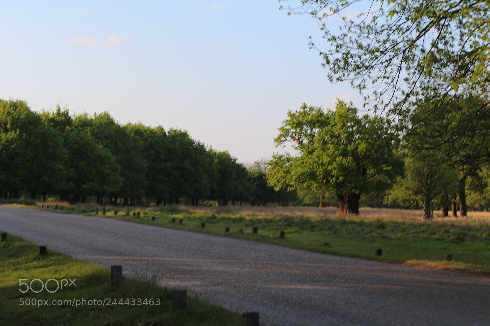 Canon EOS 650D (EOS Rebel T4i / EOS Kiss X6i) sample photo. Img photography