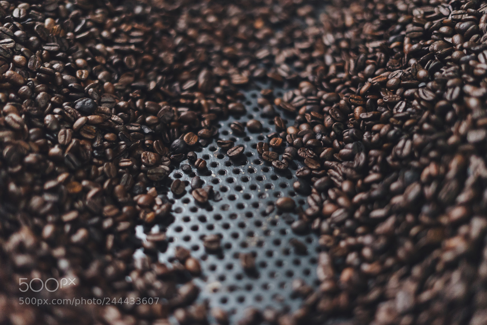 Sony a7 II sample photo. Coffee roaster photography