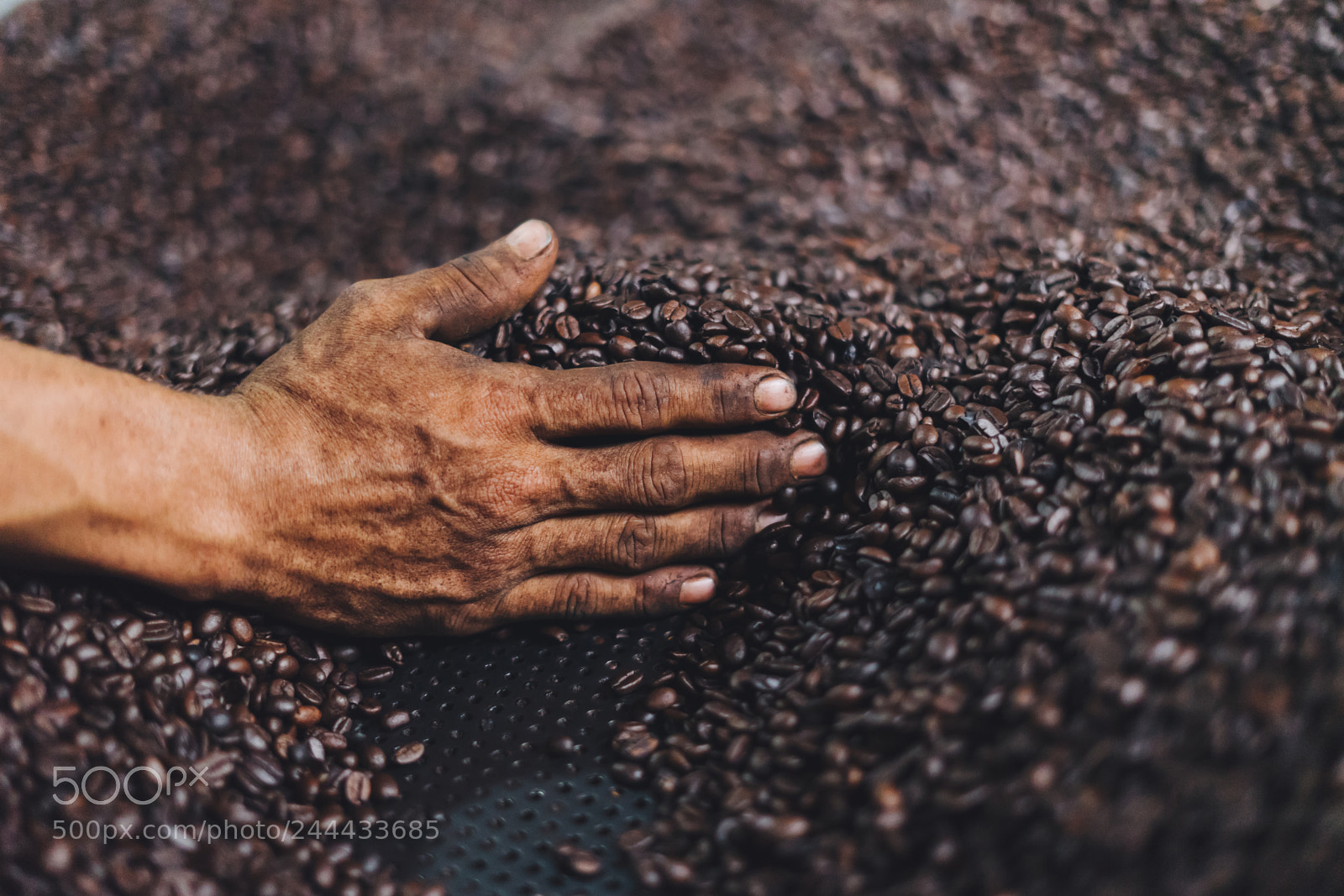 Sony a7 II sample photo. Coffee roaster photography