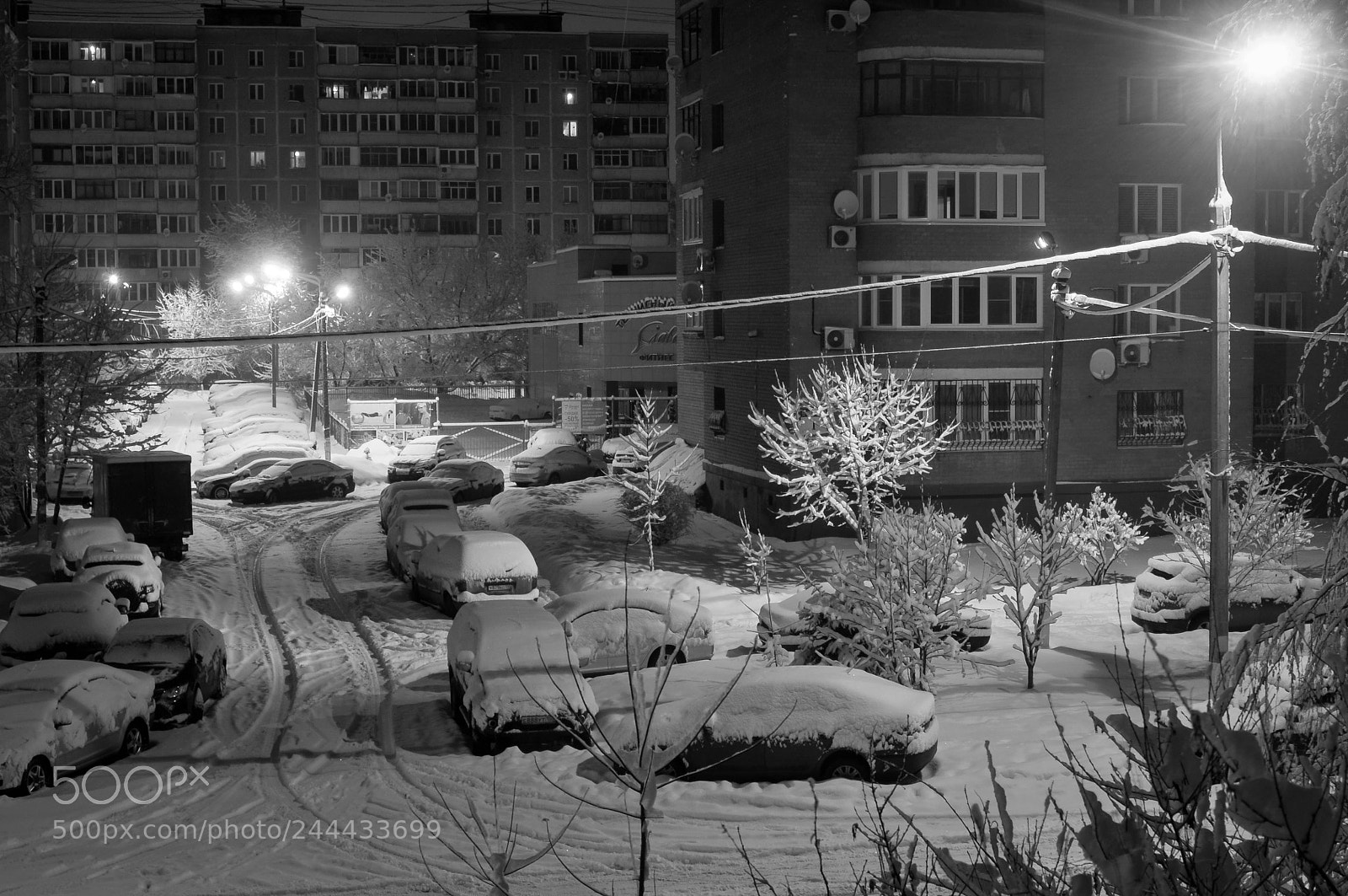 Nikon D300 sample photo. Winter morning photography
