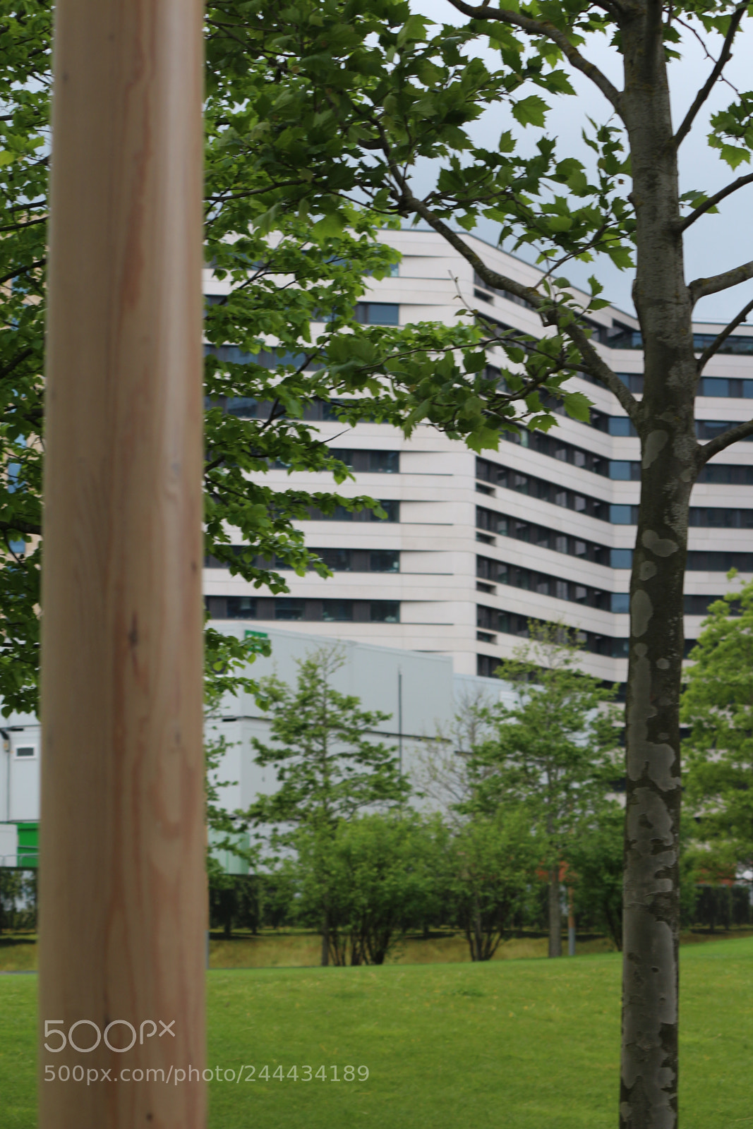Canon EOS 650D (EOS Rebel T4i / EOS Kiss X6i) sample photo. Img photography