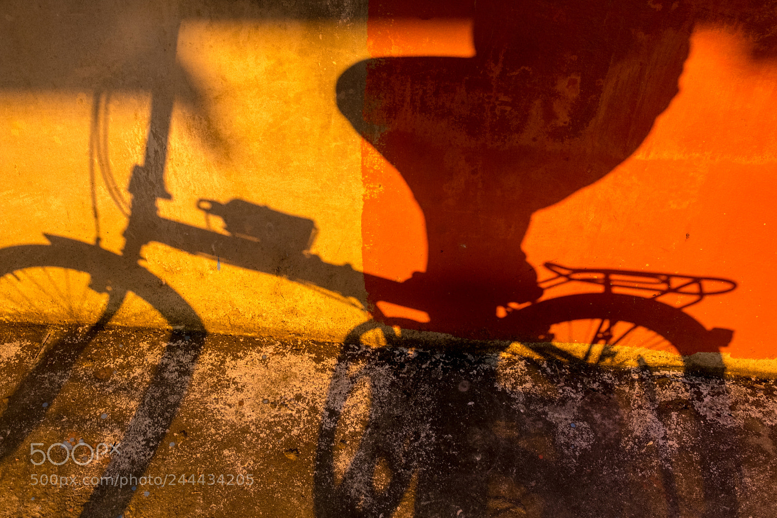 Fujifilm X-Pro2 sample photo. Art of shadow on photography