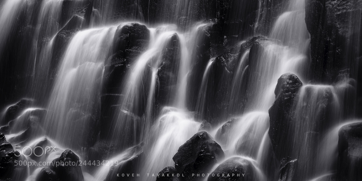 Nikon D800E sample photo. Moments of light photography