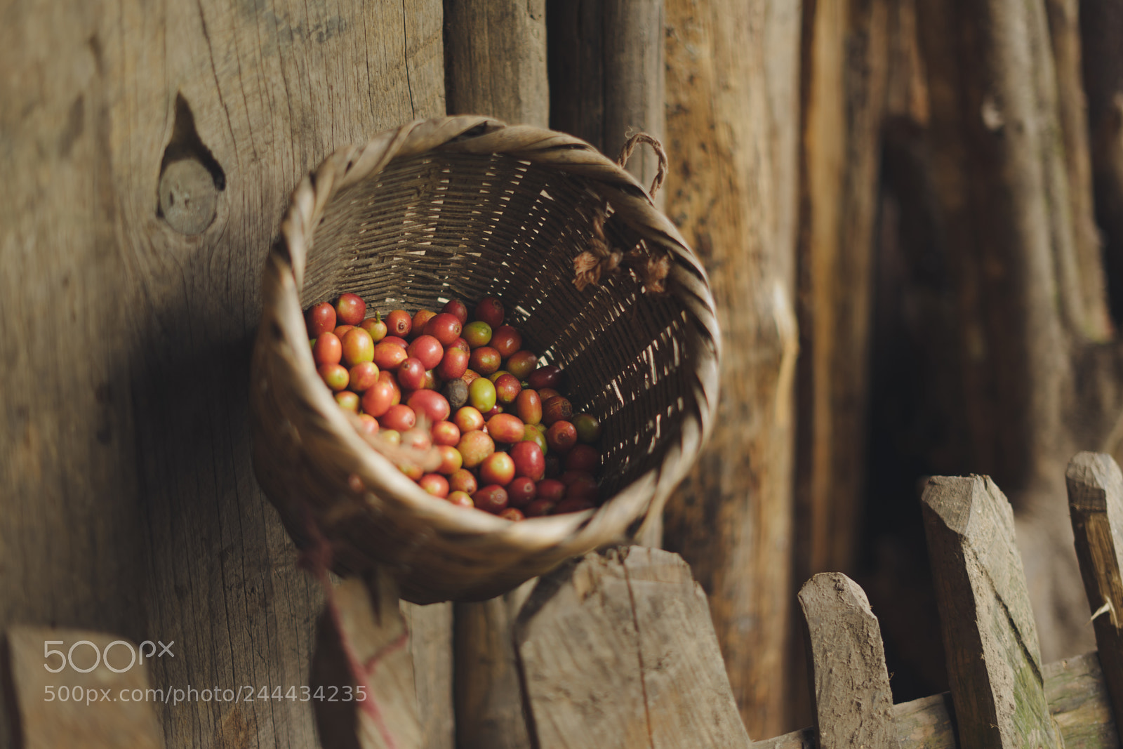 Sony a7 II sample photo. Coffee bean photography