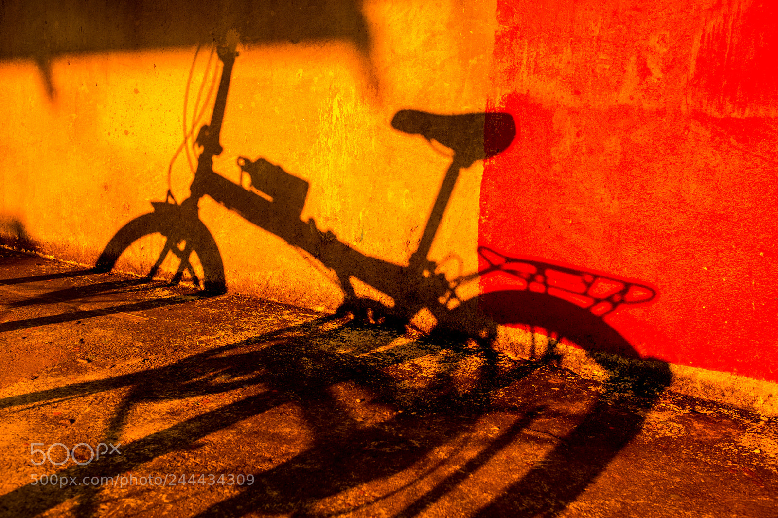 Fujifilm X-Pro2 sample photo. Art of shadow on photography