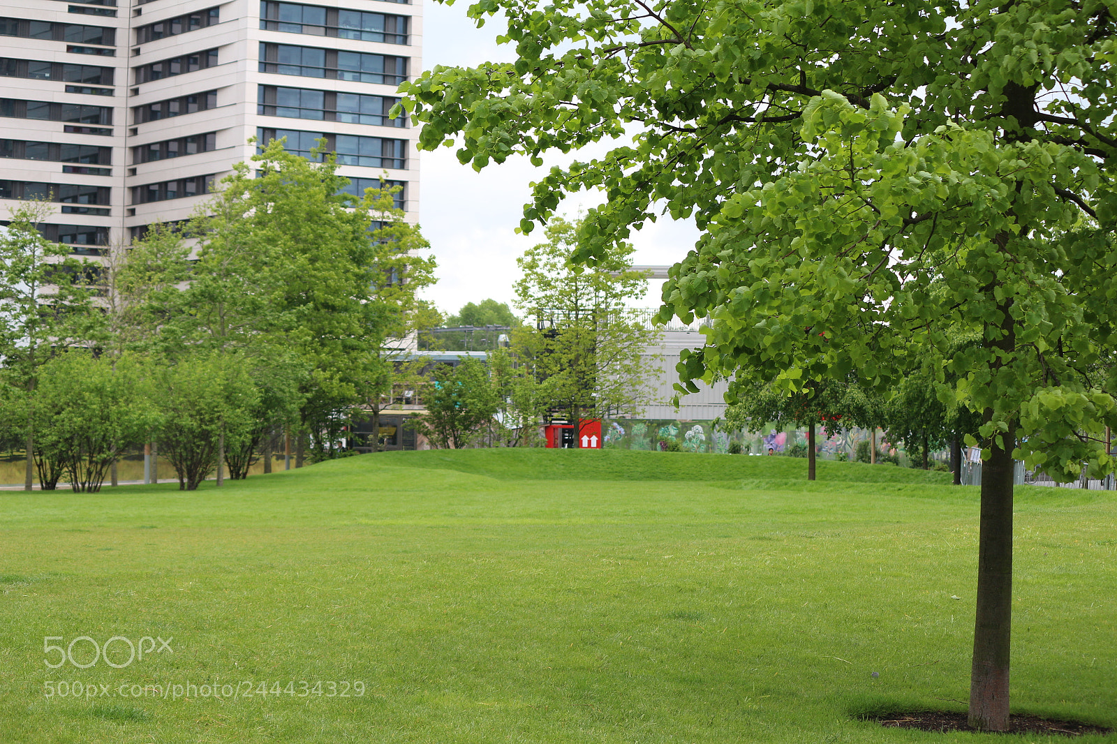 Canon EOS 650D (EOS Rebel T4i / EOS Kiss X6i) sample photo. Img photography