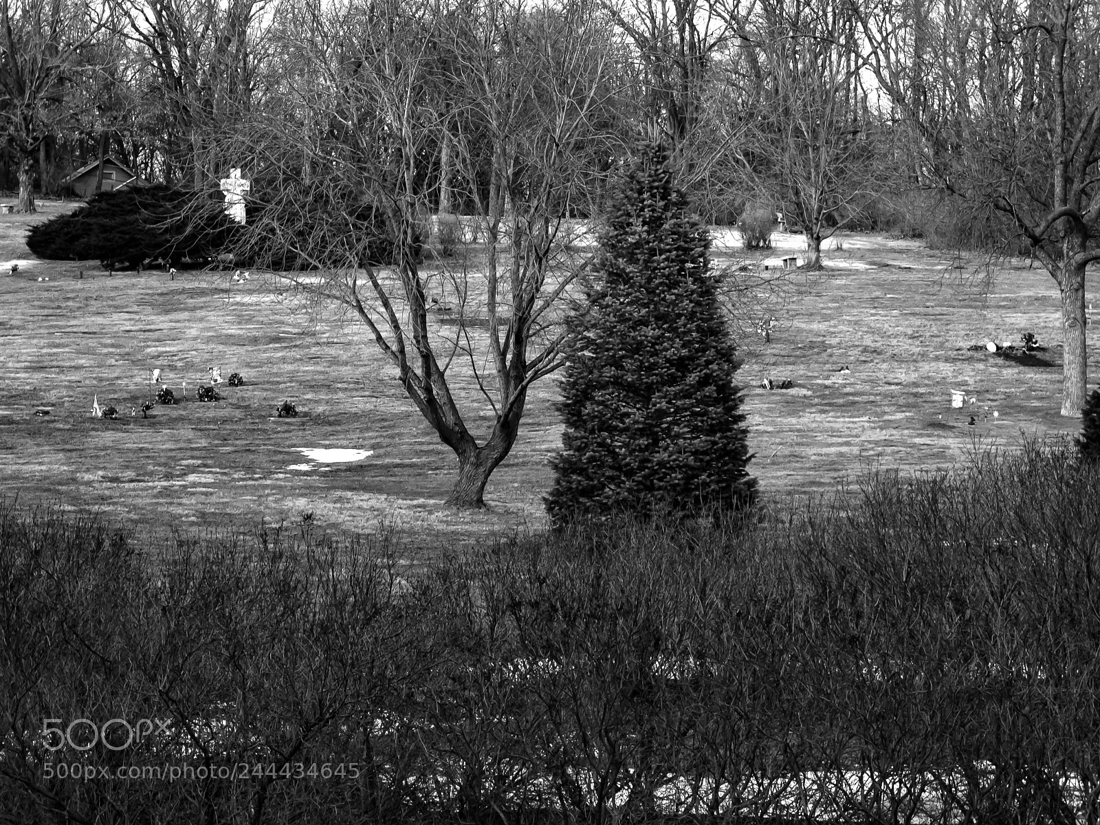 Canon PowerShot G12 sample photo. Forest lawn cemetery photography