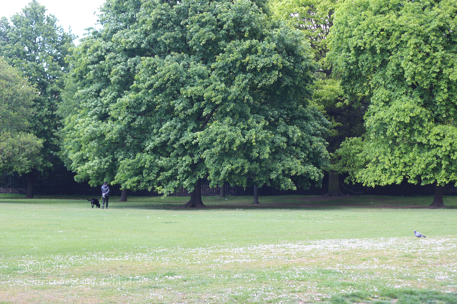 Canon EOS 650D (EOS Rebel T4i / EOS Kiss X6i) sample photo. Img photography