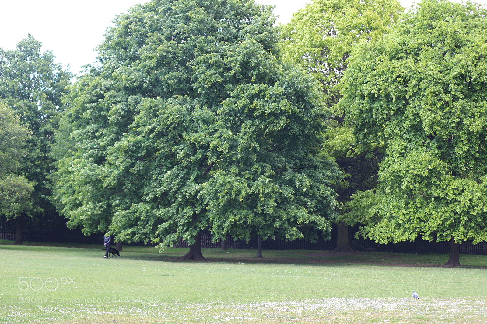 Canon EOS 650D (EOS Rebel T4i / EOS Kiss X6i) sample photo. Img photography