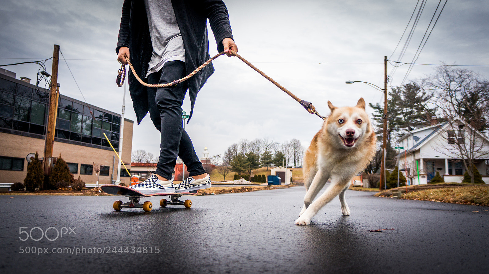 Sony Alpha NEX-6 sample photo. Naluh photography