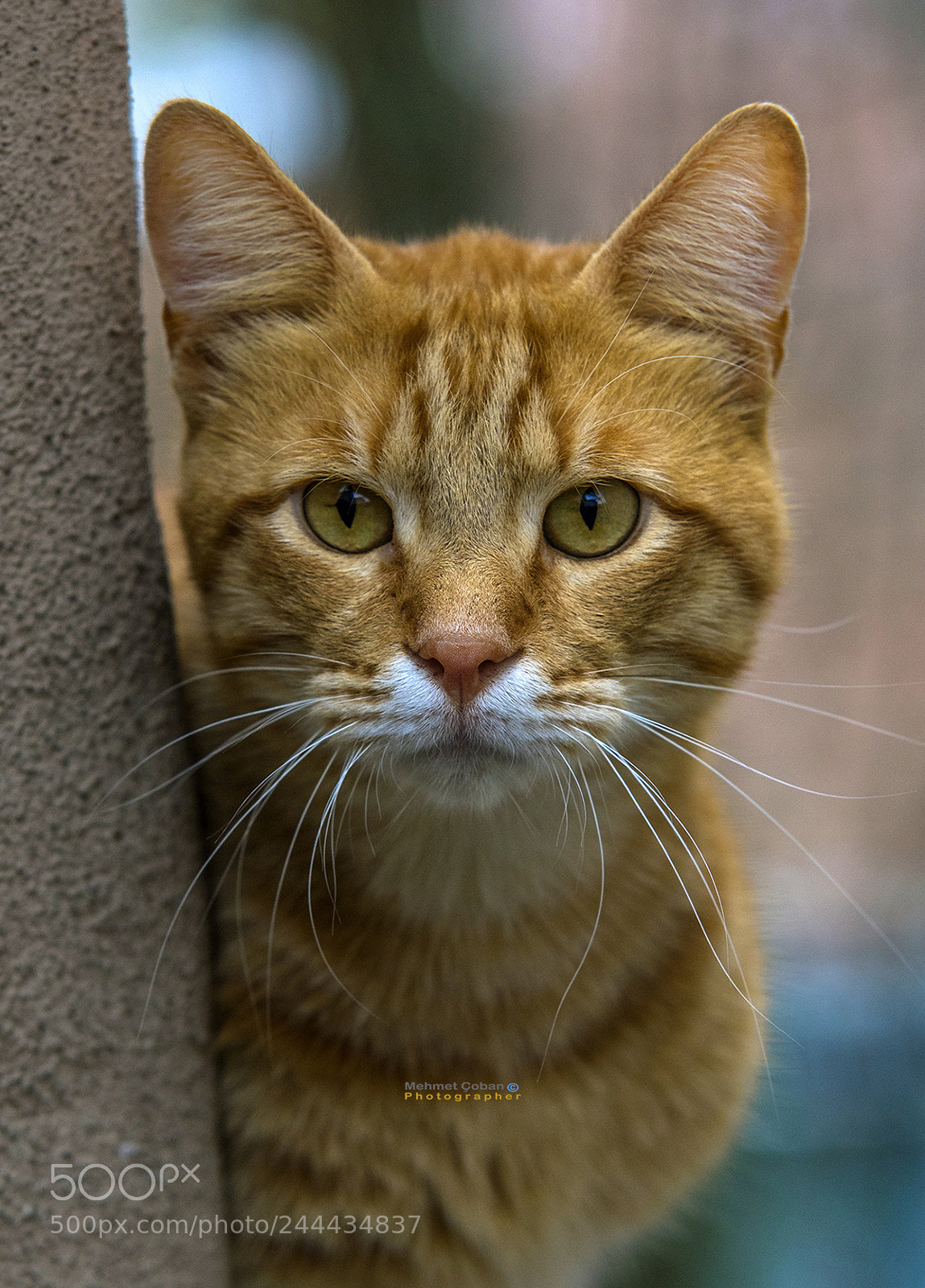 Pentax K-3 II sample photo. Edge view photography