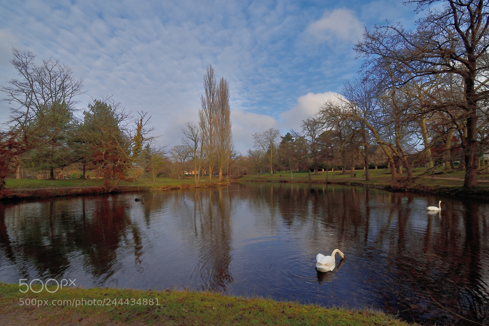 Nikon D5600 sample photo. Winter photography