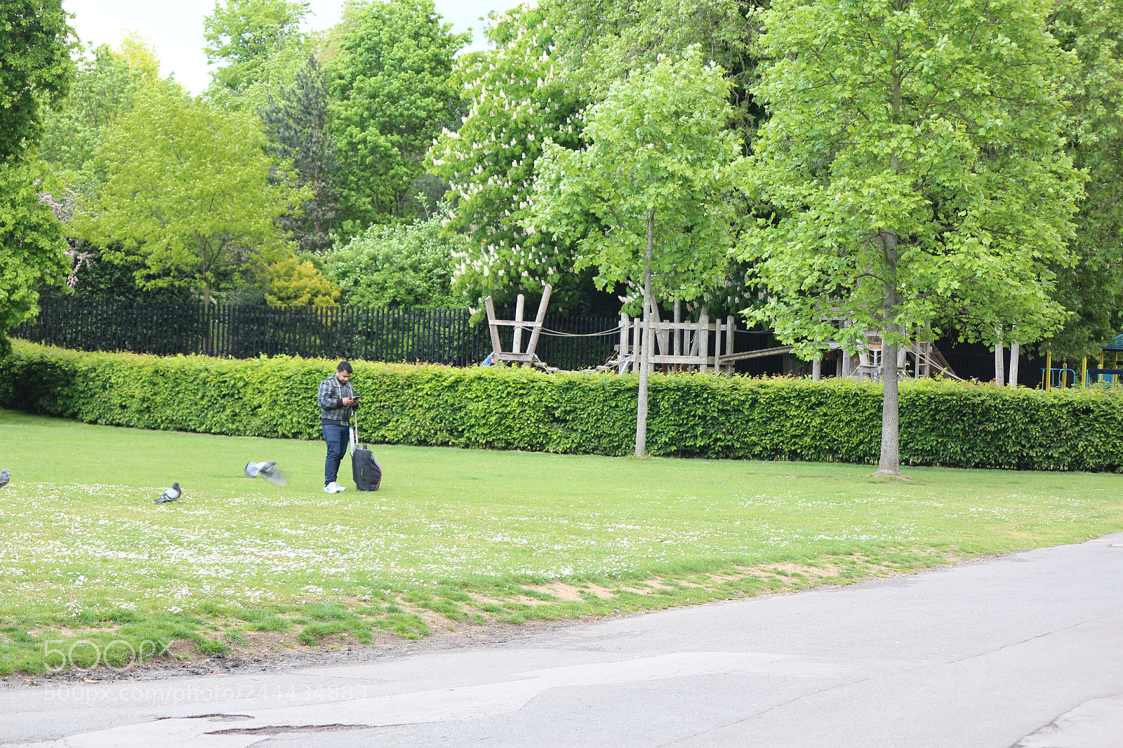 Canon EOS 650D (EOS Rebel T4i / EOS Kiss X6i) sample photo. Img photography