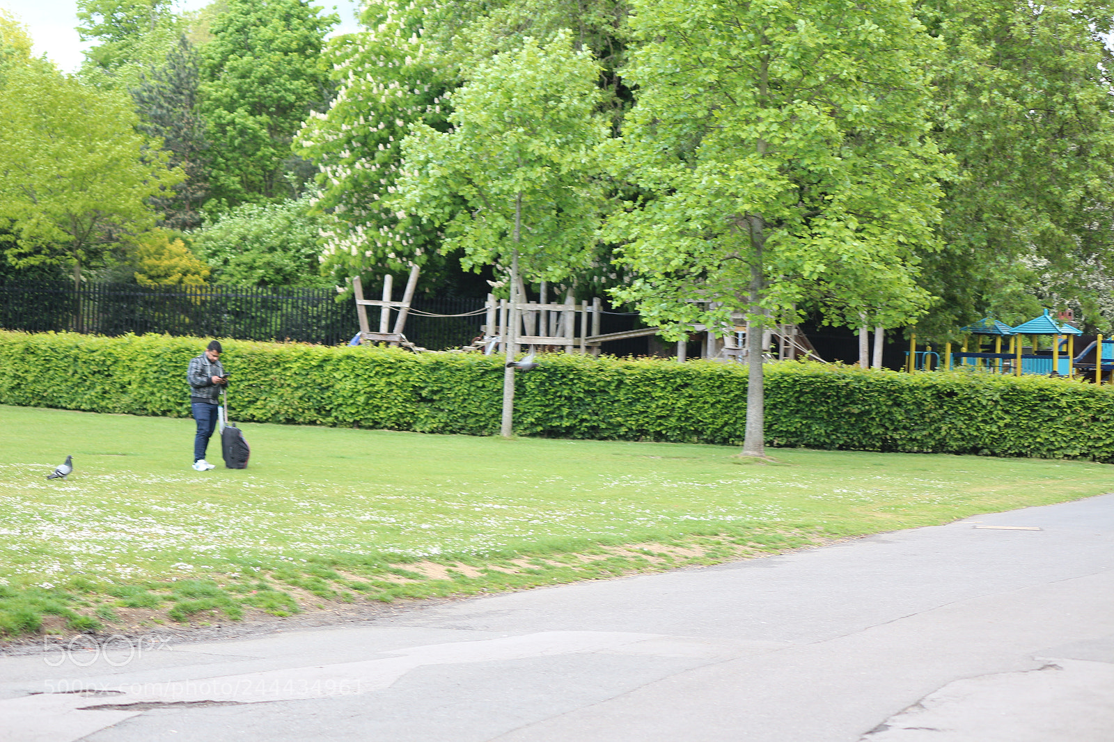Canon EOS 650D (EOS Rebel T4i / EOS Kiss X6i) sample photo. Img photography