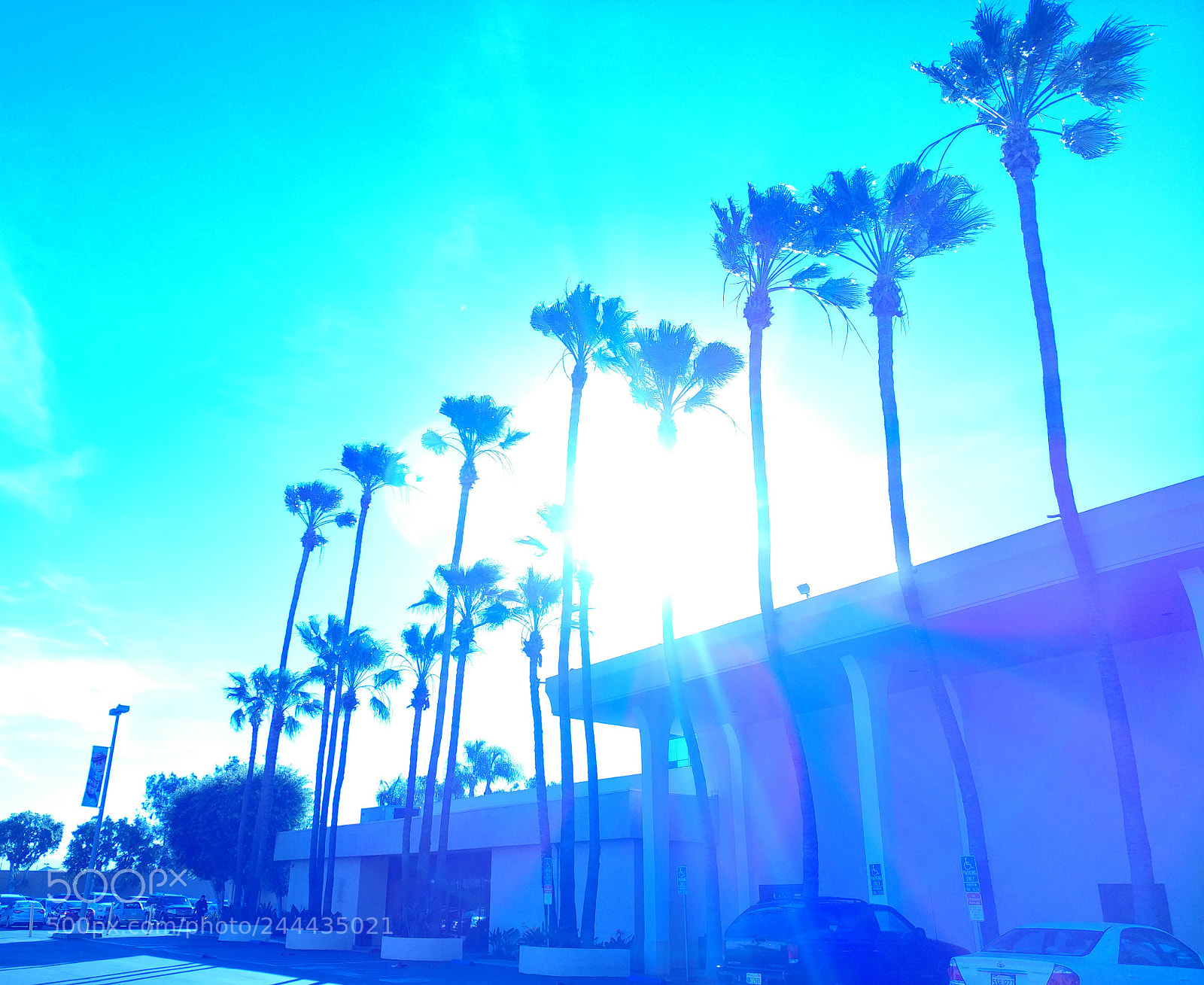 LG V20 sample photo. California dreaming photography