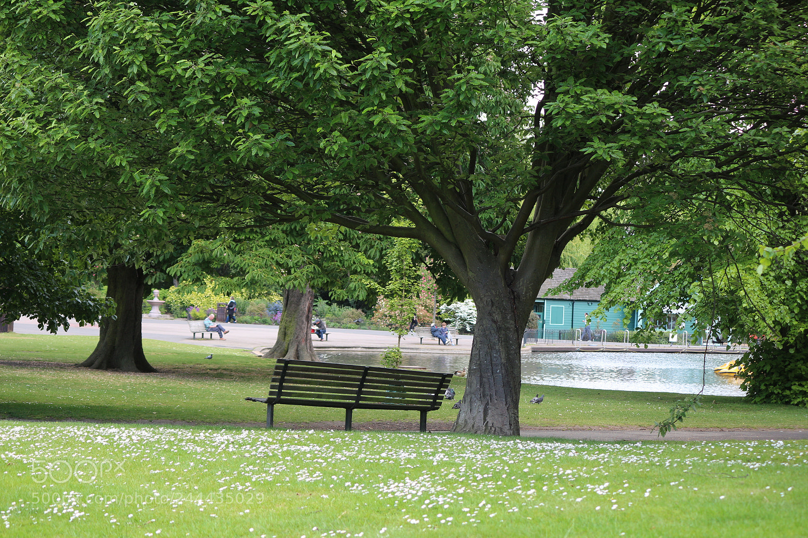 Canon EOS 650D (EOS Rebel T4i / EOS Kiss X6i) sample photo. Img photography