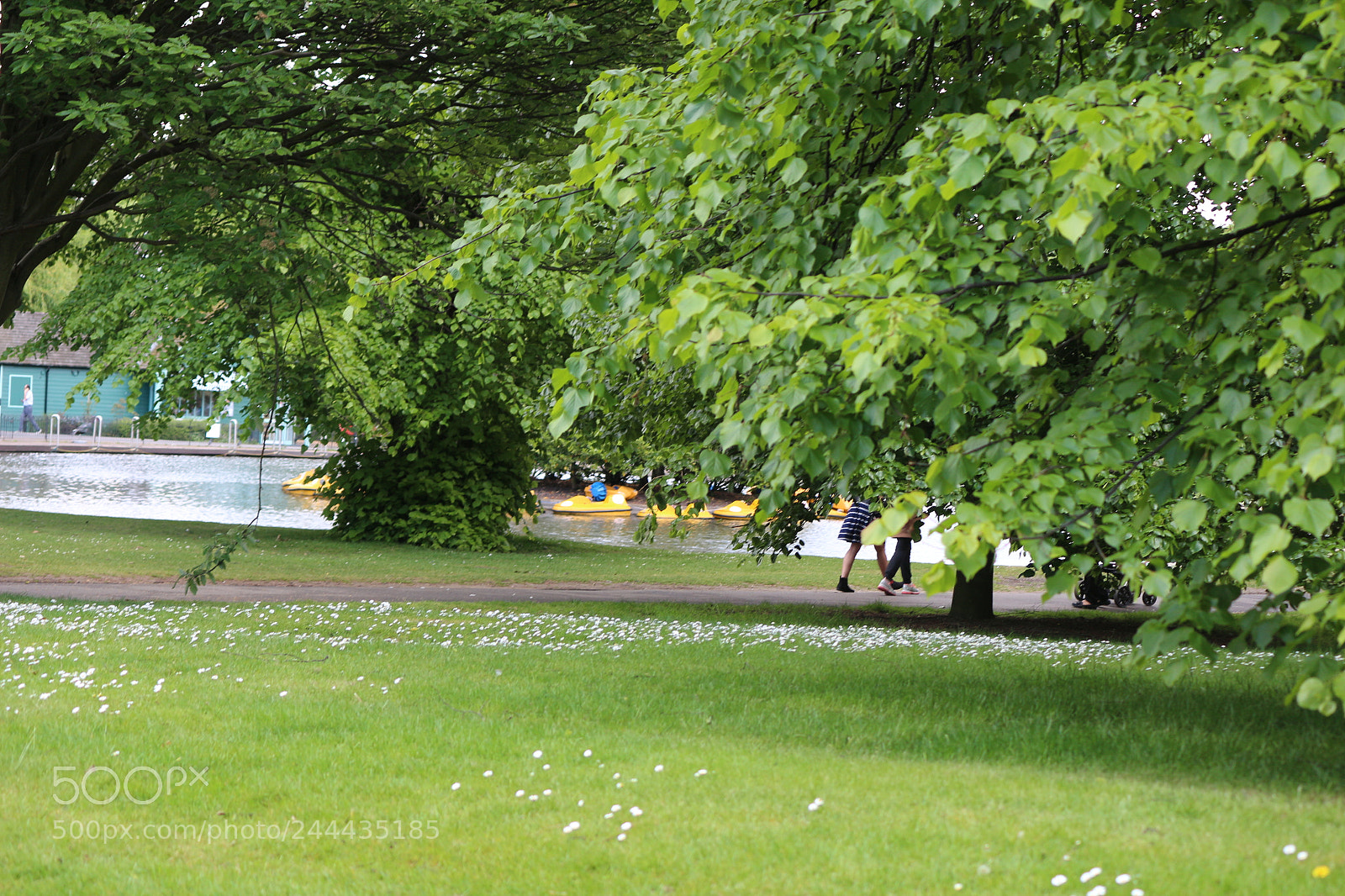Canon EOS 650D (EOS Rebel T4i / EOS Kiss X6i) sample photo. Img photography