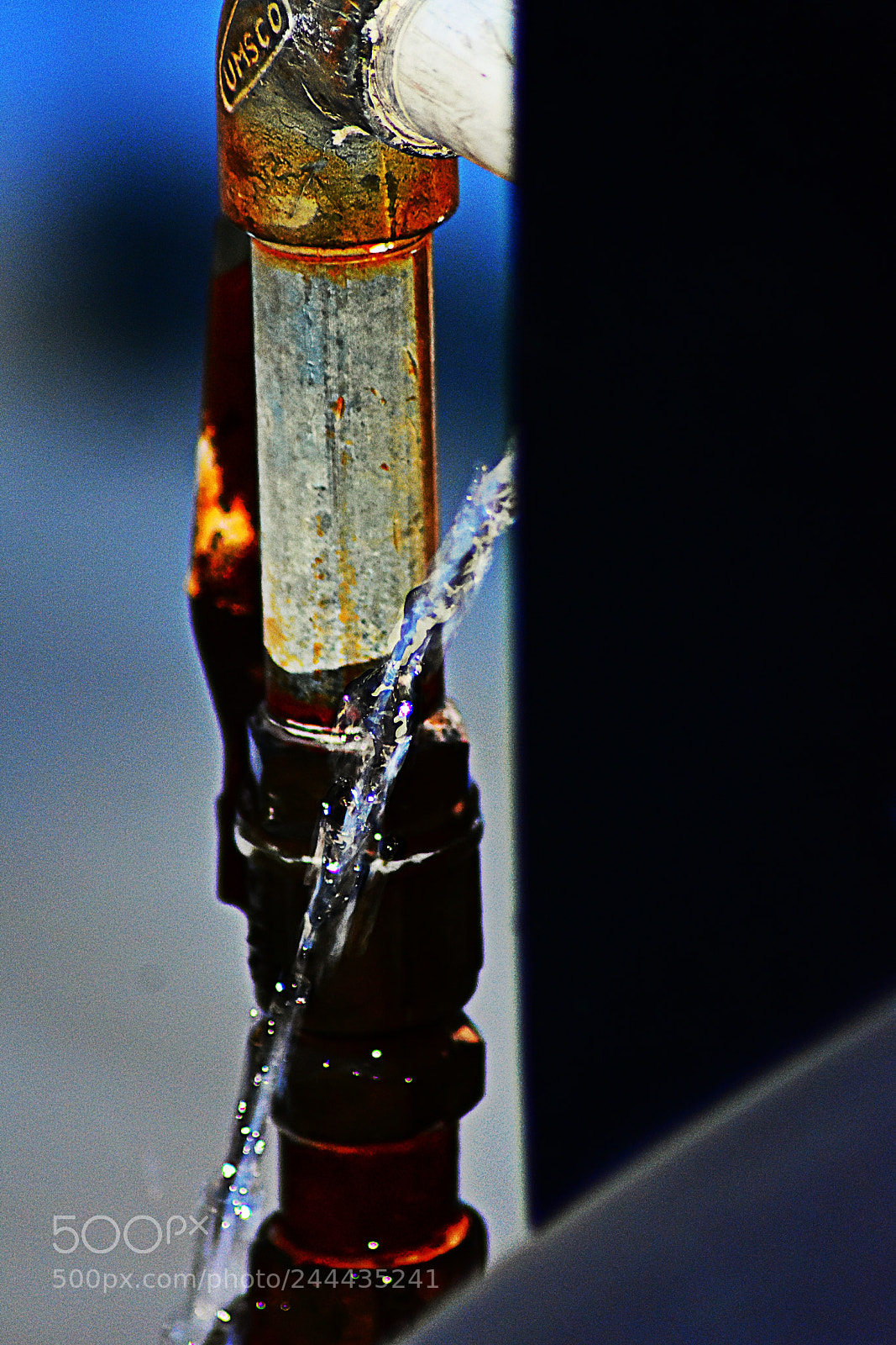 Nikon D3400 sample photo. Untitled photography