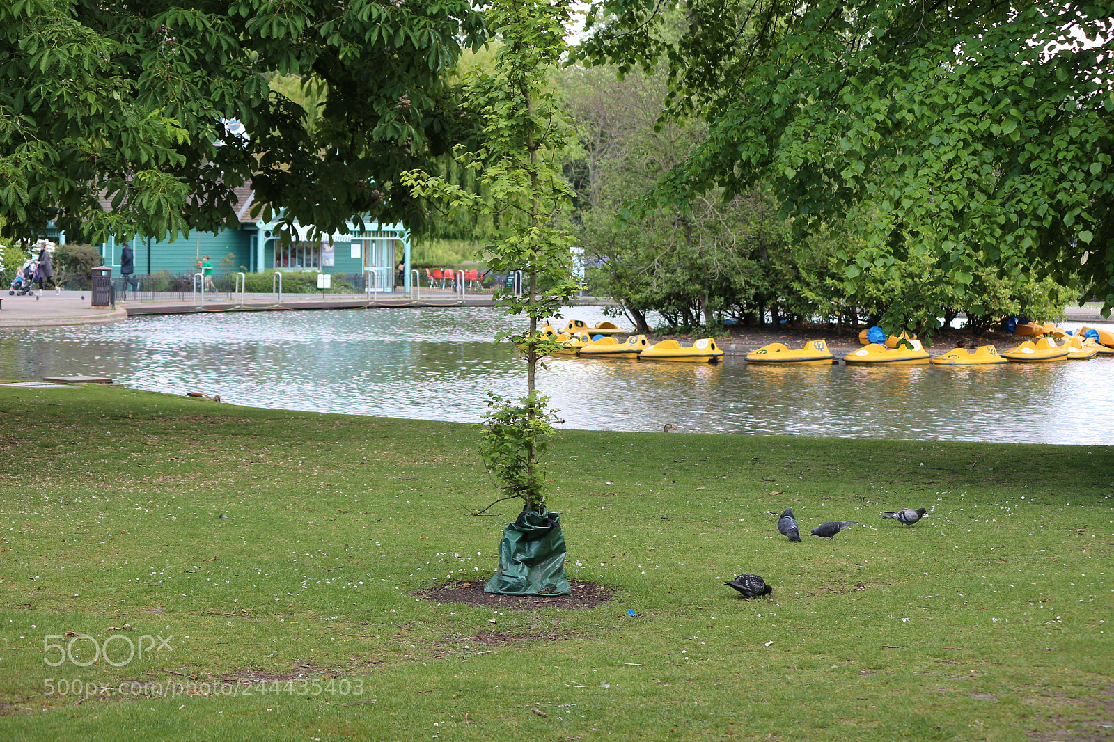 Canon EOS 650D (EOS Rebel T4i / EOS Kiss X6i) sample photo. Img photography