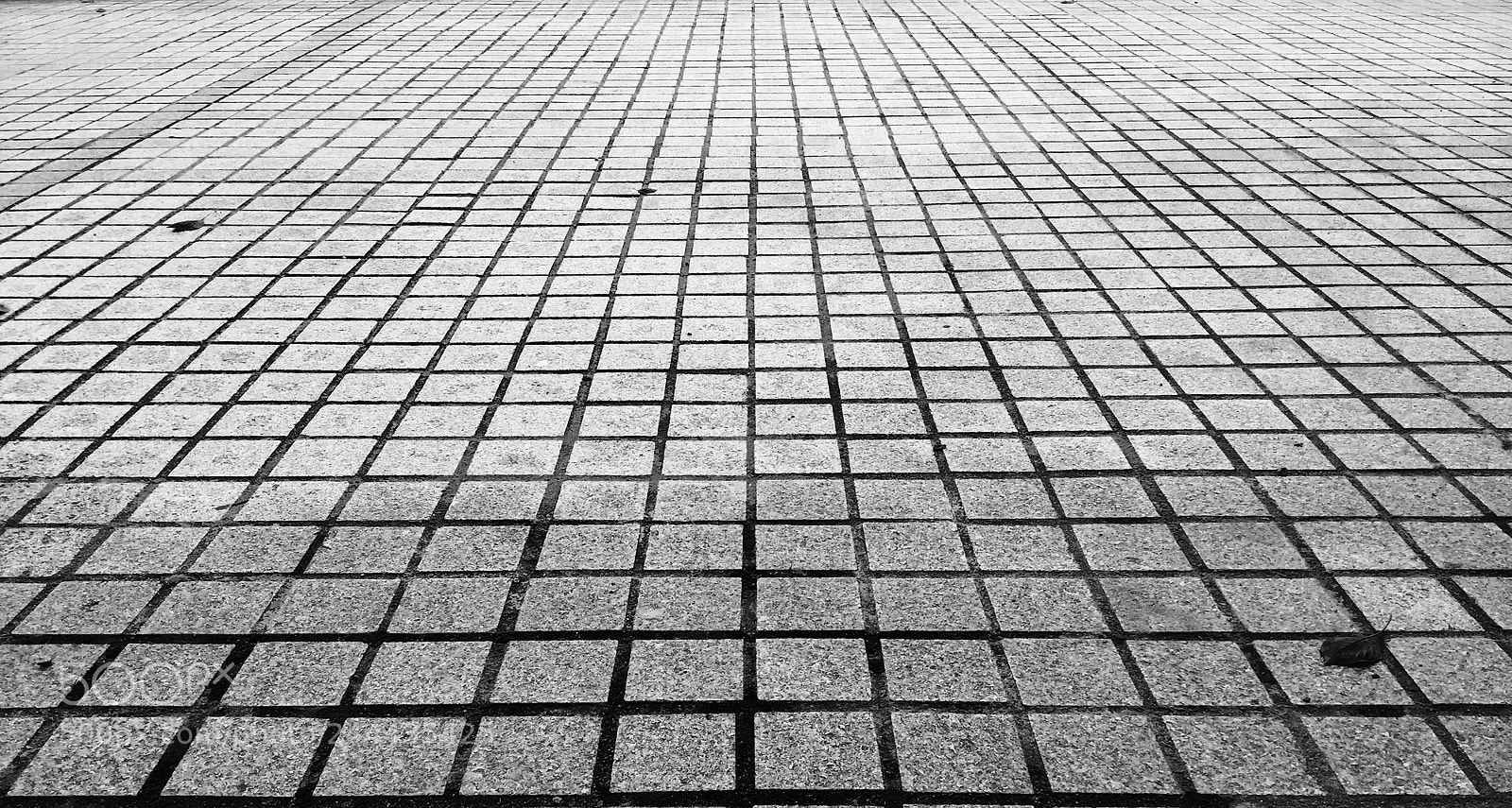Apple iPhone 6 sample photo. Meditation photography