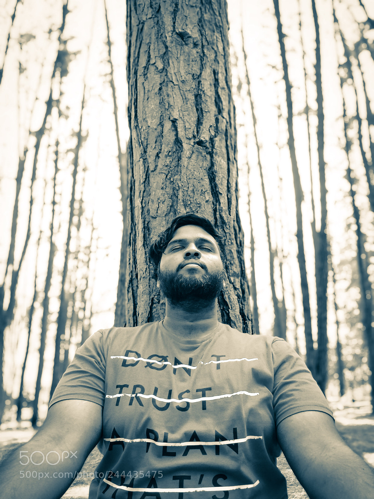 OnePlus 5T sample photo. Untitled photography