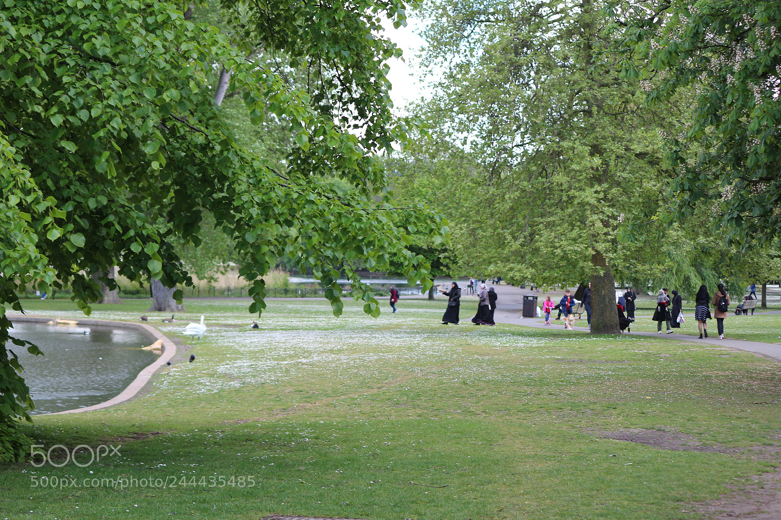 Canon EOS 650D (EOS Rebel T4i / EOS Kiss X6i) sample photo. Img photography