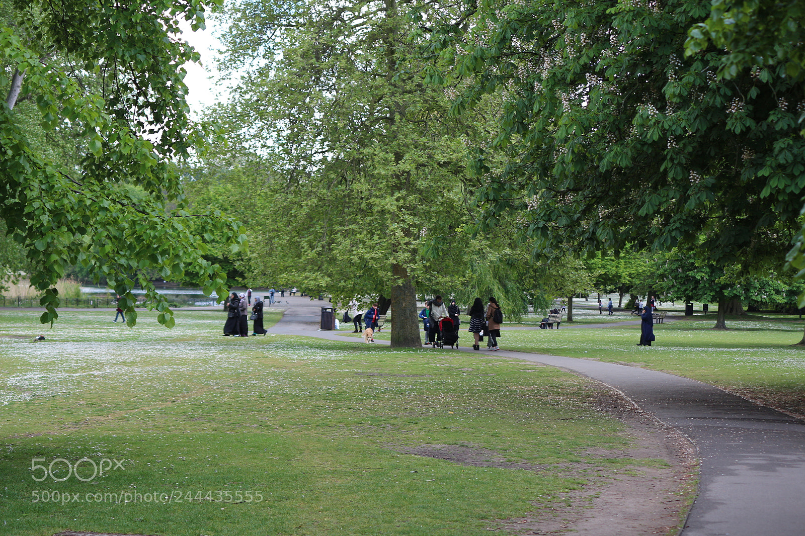 Canon EOS 650D (EOS Rebel T4i / EOS Kiss X6i) sample photo. Img photography