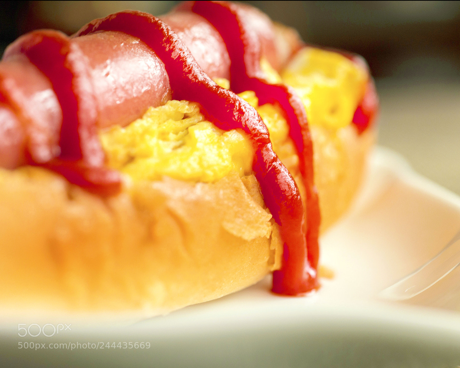 Nikon D610 sample photo. Untitled photography