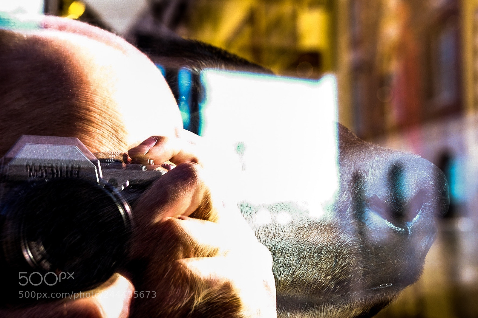 Fujifilm X-T10 sample photo. Untitled photography