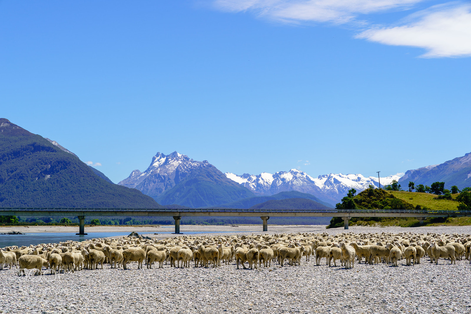 Sony a9 sample photo. Sheepherding at isengard photography