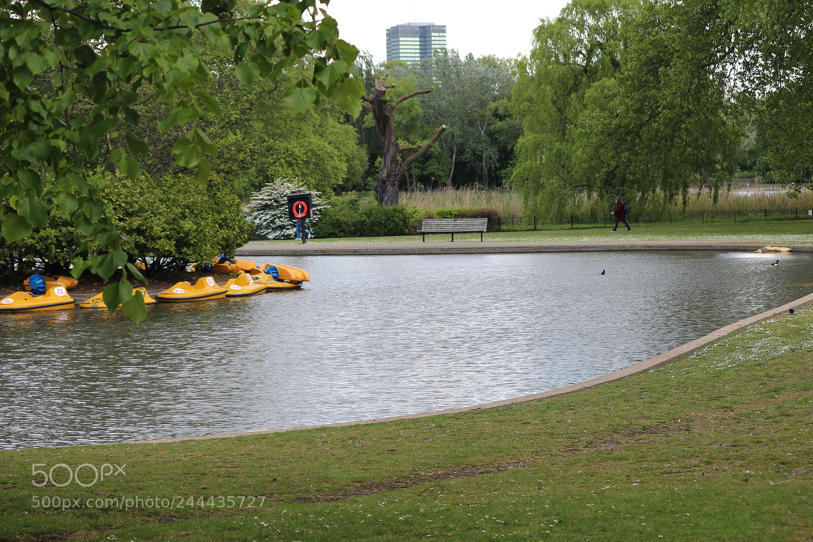 Canon EOS 650D (EOS Rebel T4i / EOS Kiss X6i) sample photo. Img photography
