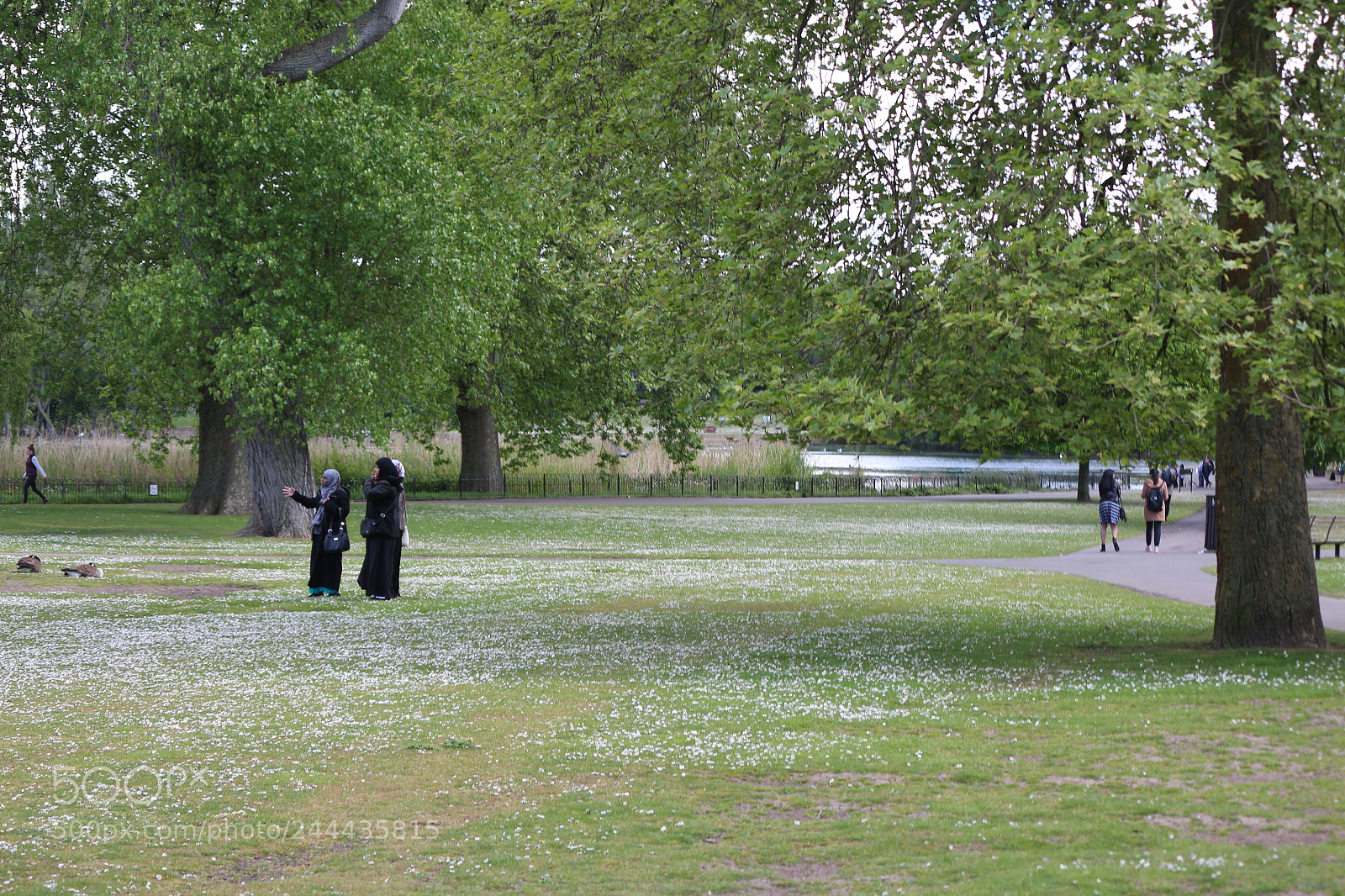 Canon EOS 650D (EOS Rebel T4i / EOS Kiss X6i) sample photo. Img photography