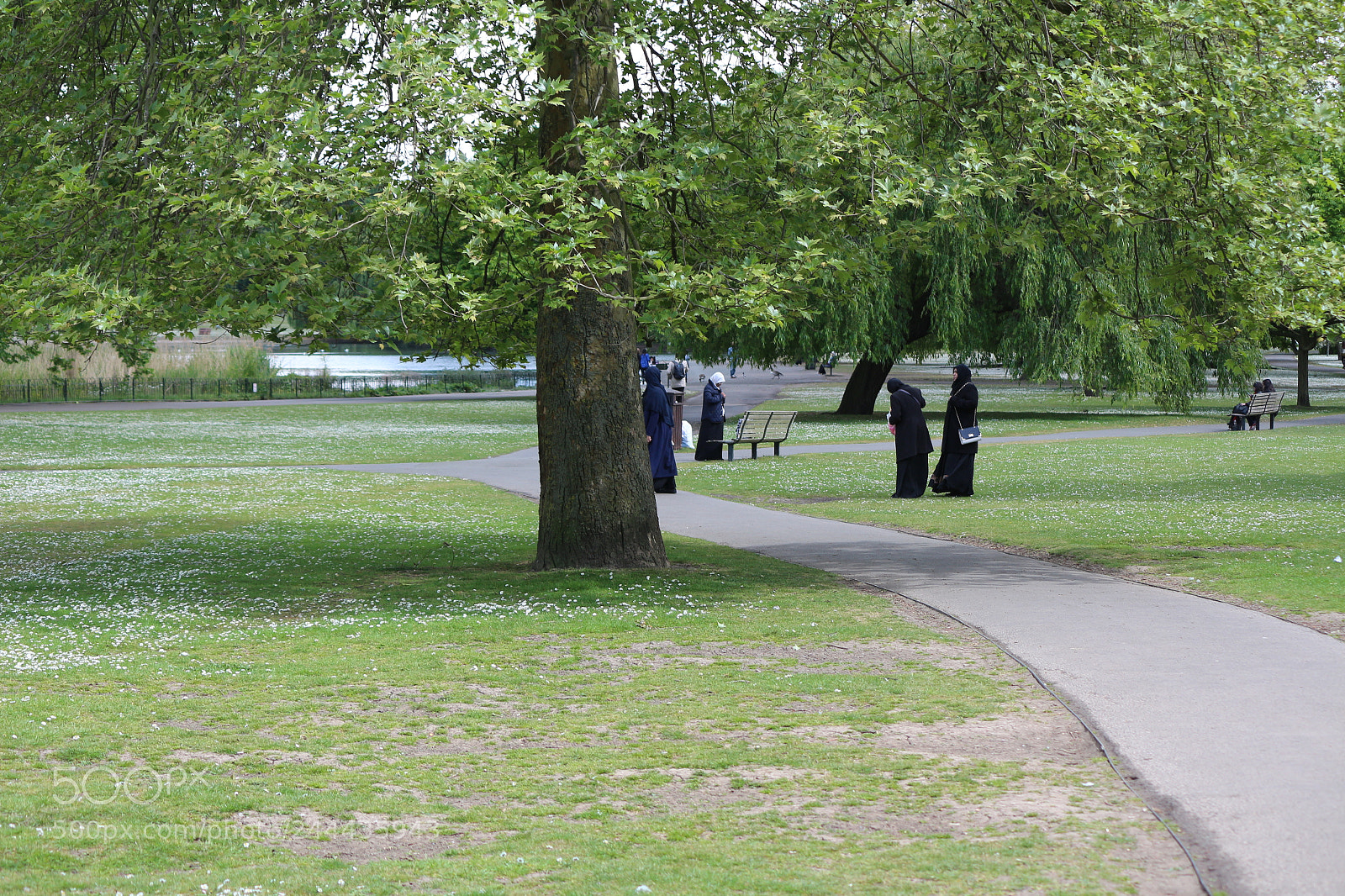 Canon EOS 650D (EOS Rebel T4i / EOS Kiss X6i) sample photo. Img photography