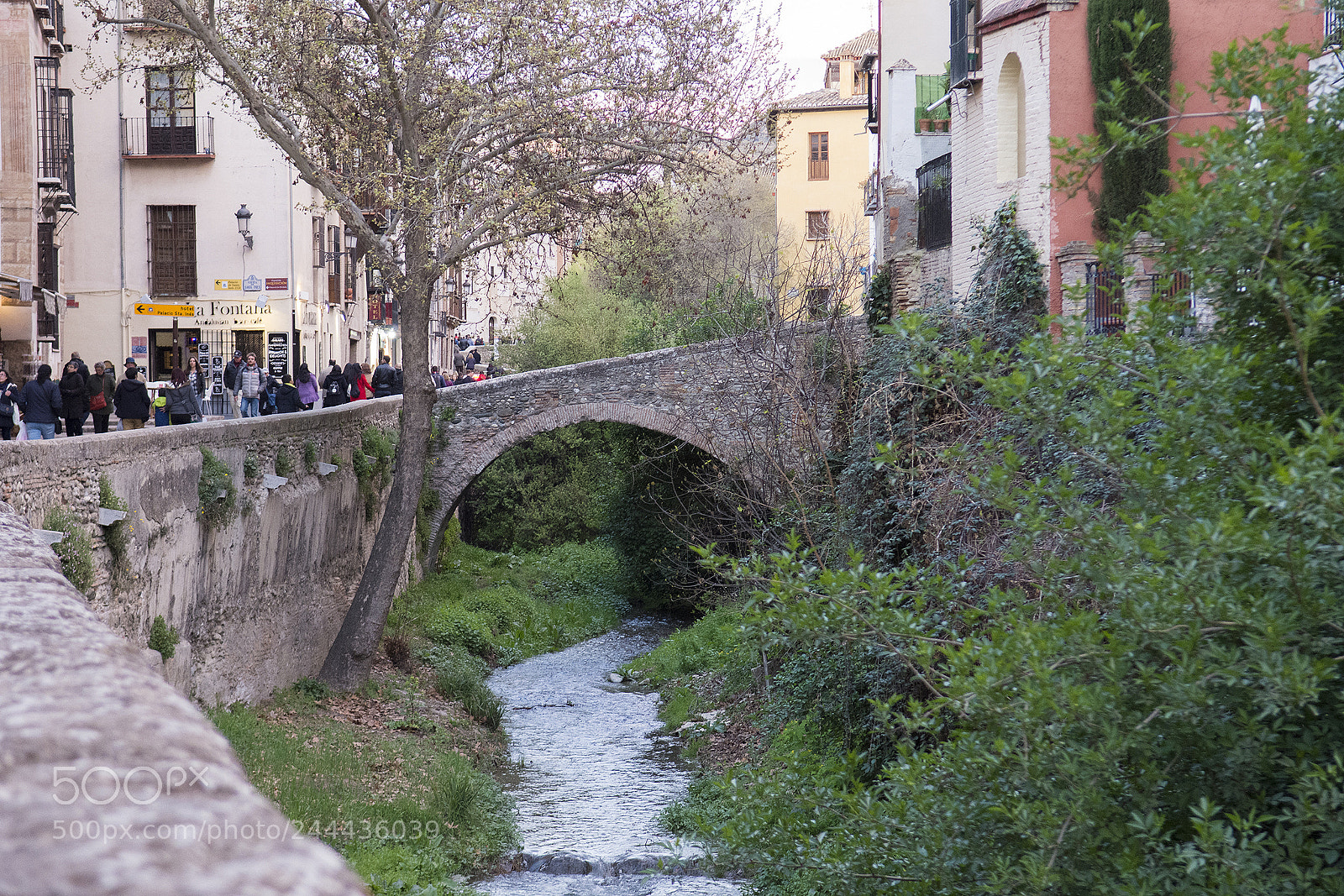 Nikon D7200 sample photo. Paseo de los tristes. photography