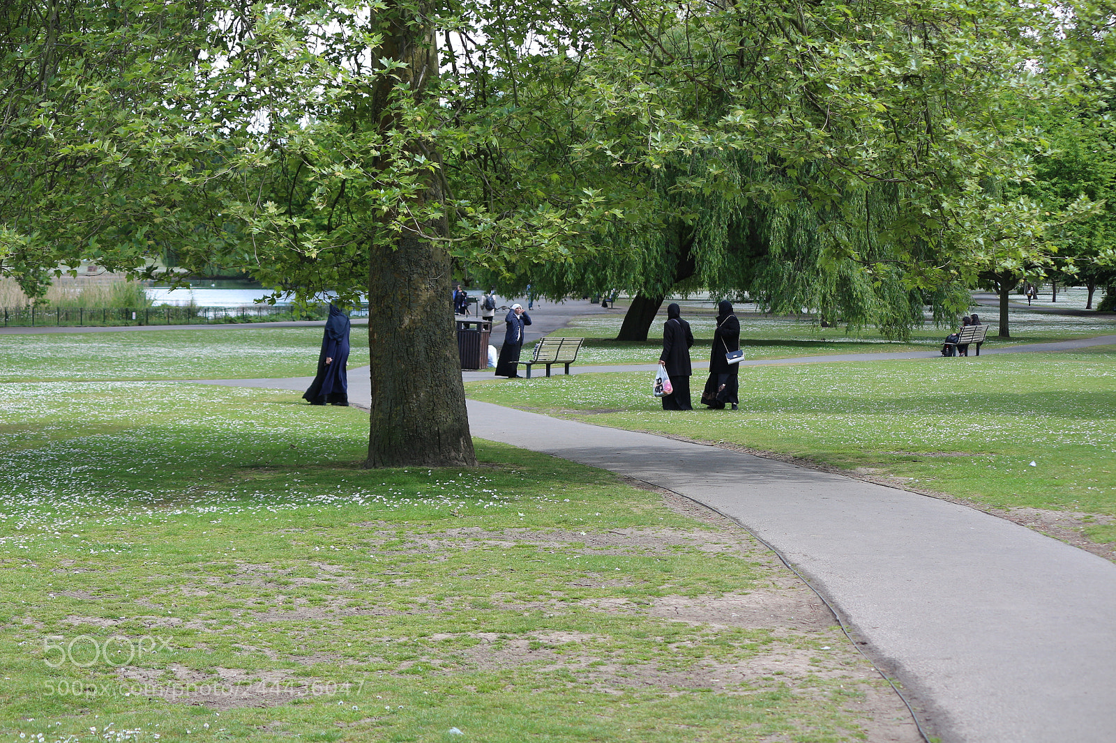 Canon EOS 650D (EOS Rebel T4i / EOS Kiss X6i) sample photo. Img photography