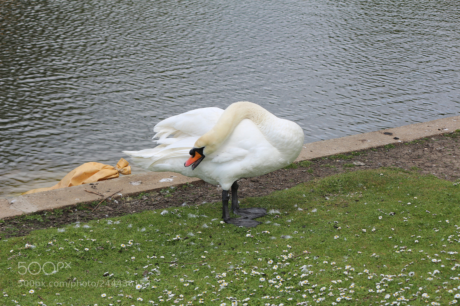 Canon EOS 650D (EOS Rebel T4i / EOS Kiss X6i) sample photo. Img photography