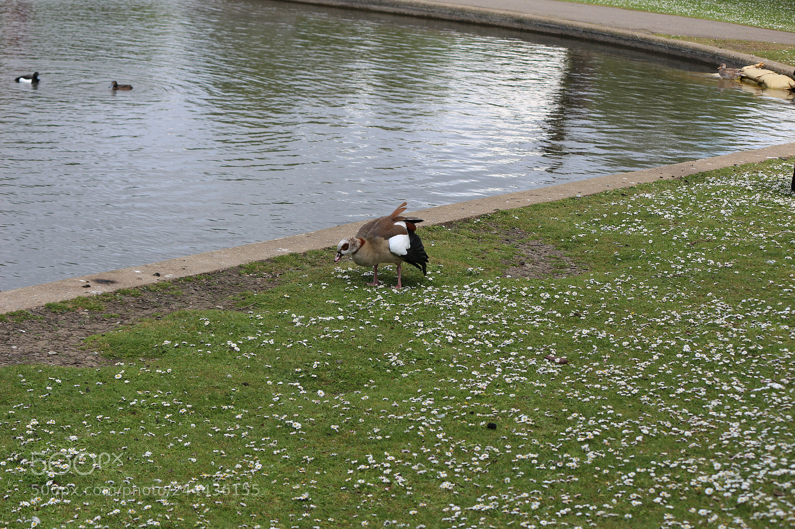 Canon EOS 650D (EOS Rebel T4i / EOS Kiss X6i) sample photo. Img photography