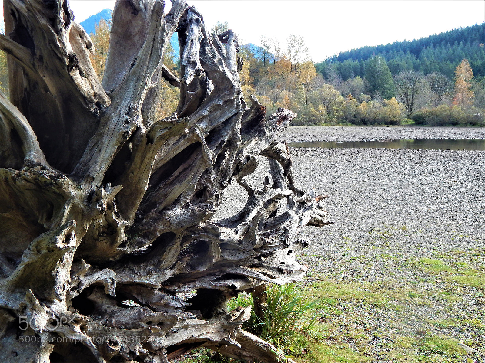 Nikon Coolpix L820 sample photo. Rattle snake lake photography