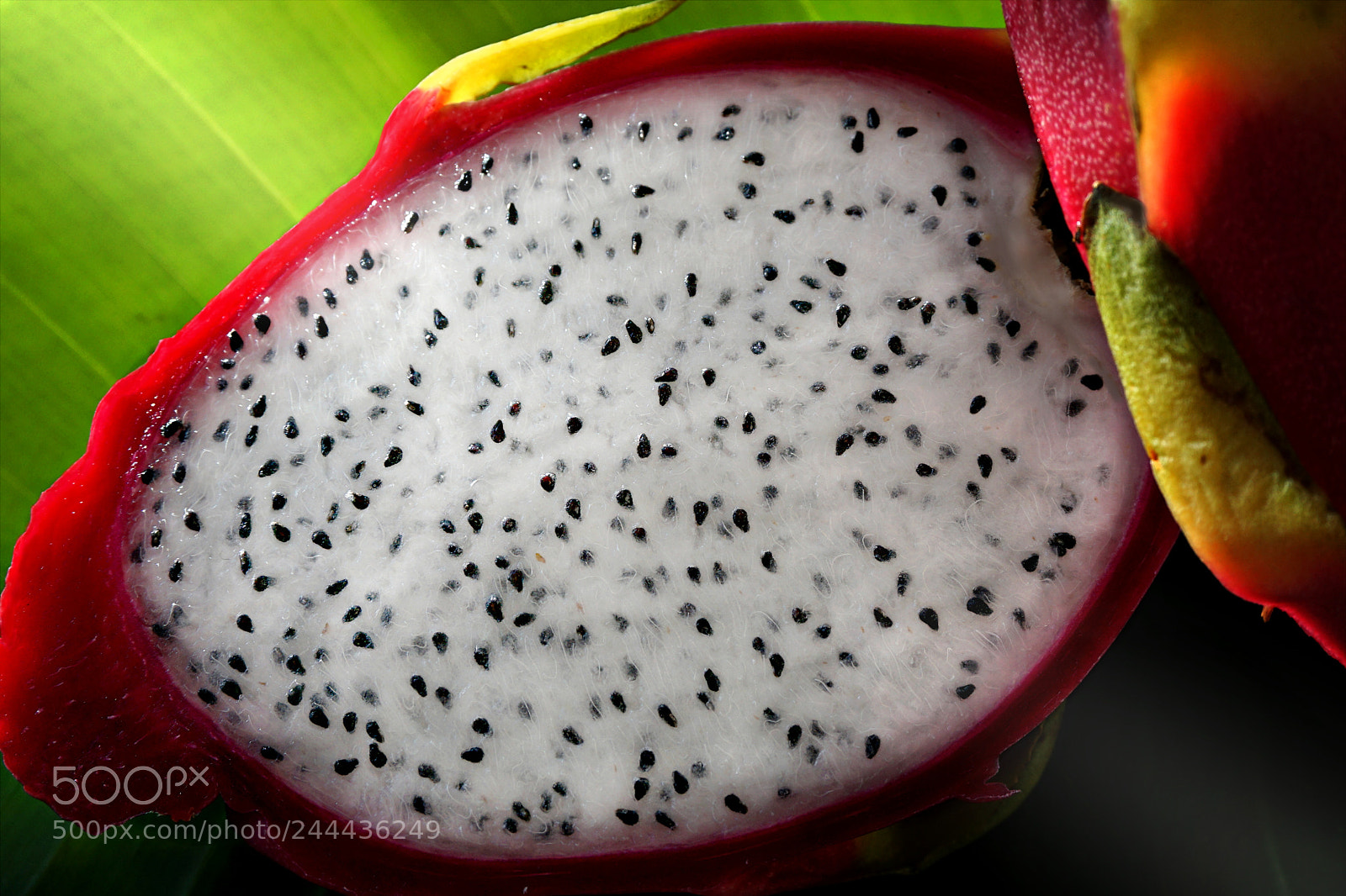 Sony a6000 + Sony E 18-50mm F4-5.6 sample photo. Dragon fruit photography