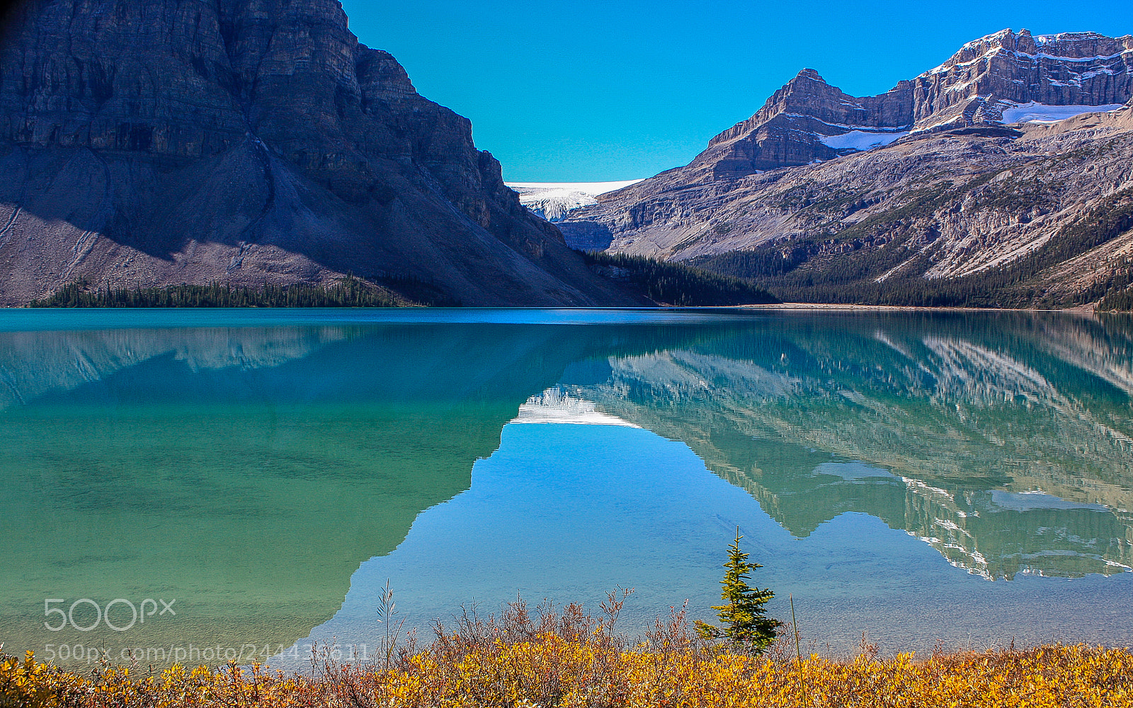 Canon EOS 450D (EOS Rebel XSi / EOS Kiss X2) sample photo. Reflections on bow lake photography
